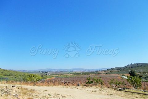 Farm hus i Yecla, Murcia, Yecla - € 410.000 | Ref: SF0064 - foto 22